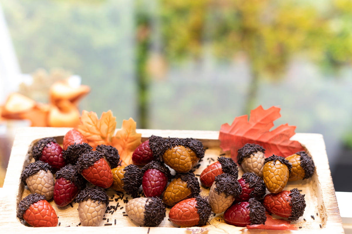 Herfst chocolade eikeltjes